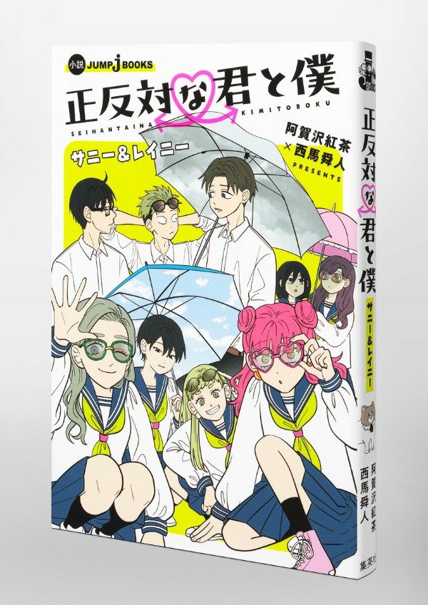 Producto - You and I Are Polar Opposites Sunny y Rainy Light Novel en japones