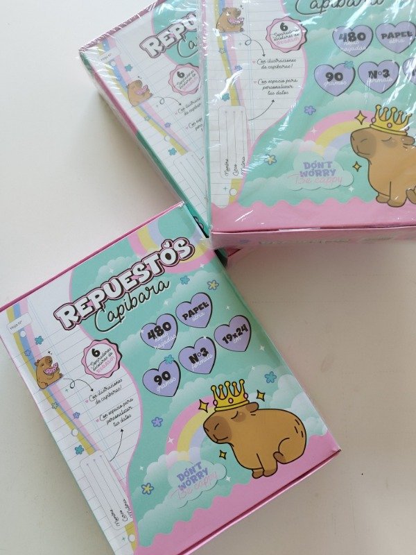 Producto - Repuesto de hojas capibara x 480