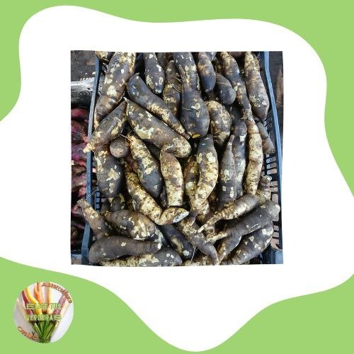 Producto - Batata blanca