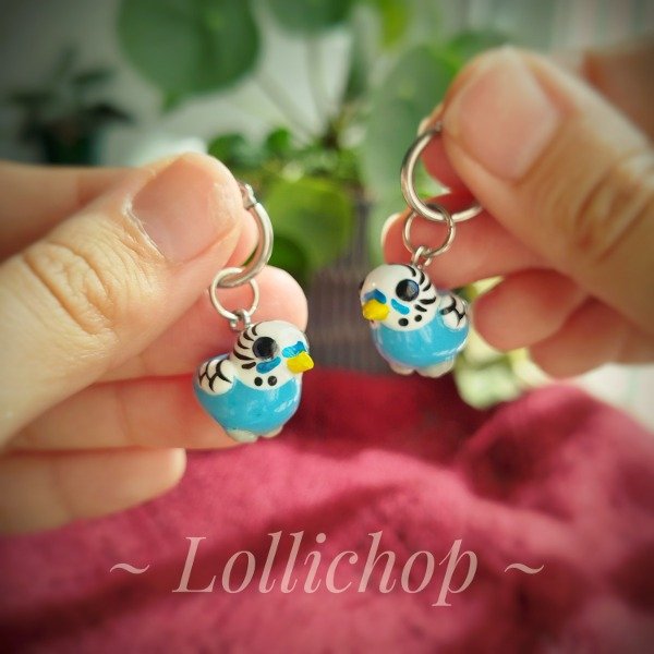 Producto - Aros Cotorras Australianas celestes