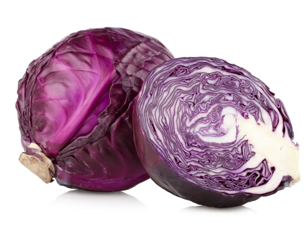 Producto - Semillas Agroecologicas de repollo colorado