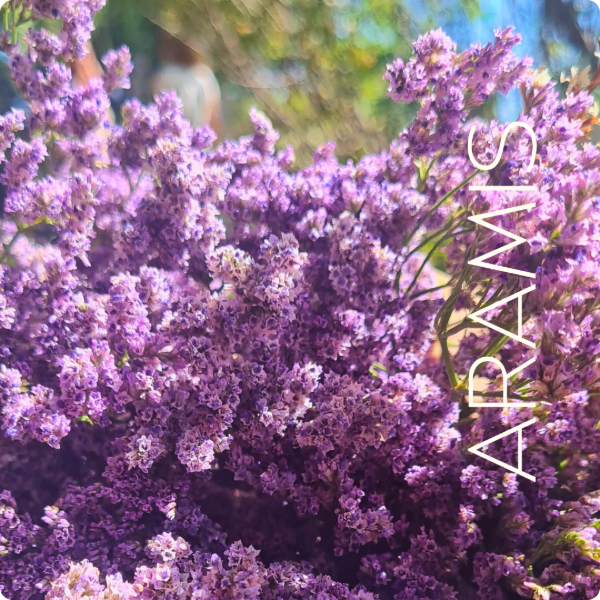 Producto - Latifolia