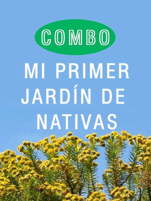 Producto - MI PRIMER JARDÍN DE NATIVAS