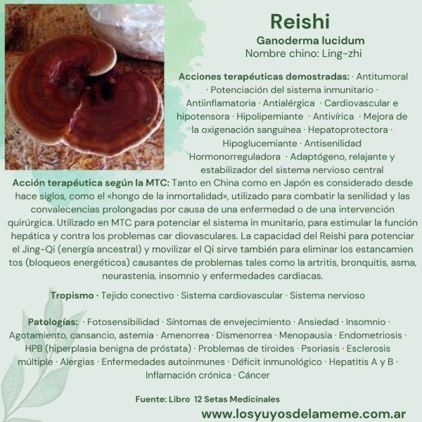 Miniatura de producto - 9