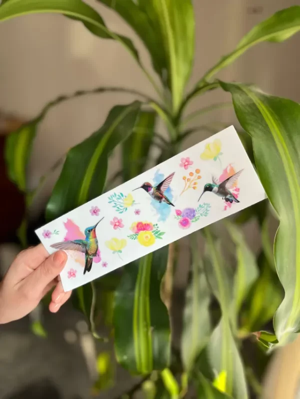 Producto - TRANSFER COLOBRIES