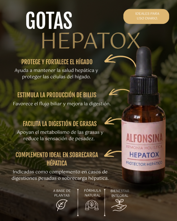 Producto - GOTAS HEPATOX (Hepato - protectoras)