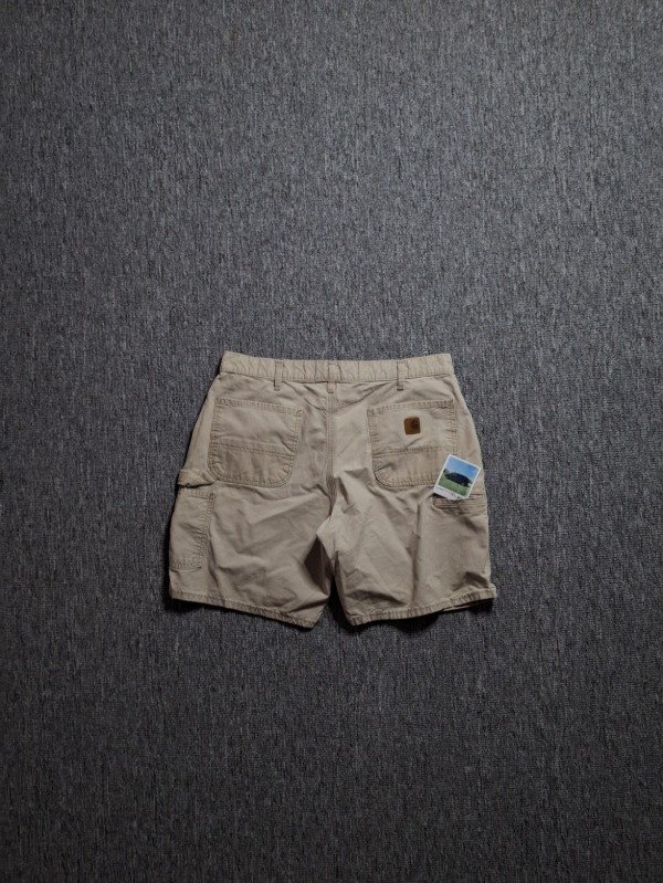 Producto - Carpenter Carhartt 36US