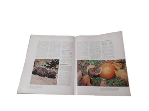 Miniatura de producto - 5