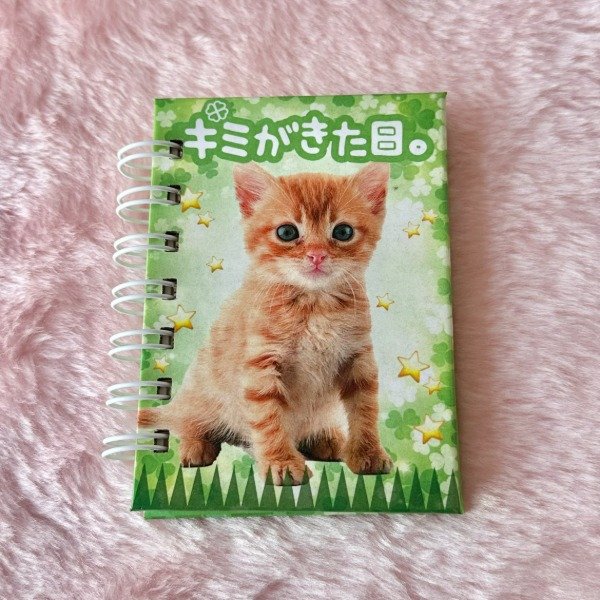 Producto - Mini Cuaderno Lucky Cat
