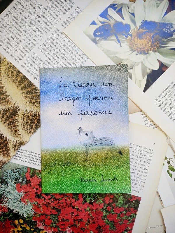 Producto - LA TIERRA: UN LARGO POEMA SIN PERSONAS de María Lucerole
