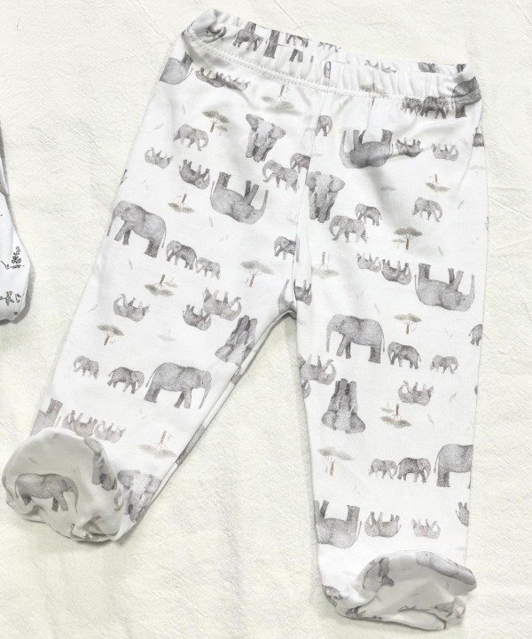Producto - Ranita Pima Elefante