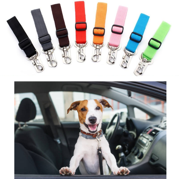 Producto - Cinturón de seguridad