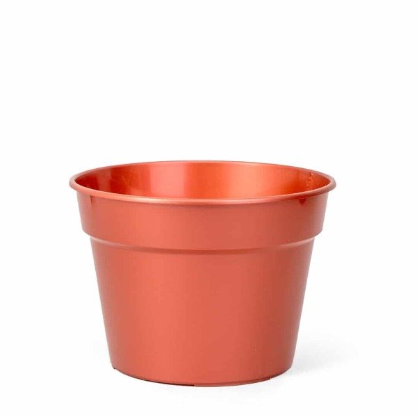 Producto - BERUPLAST CLASICA 24