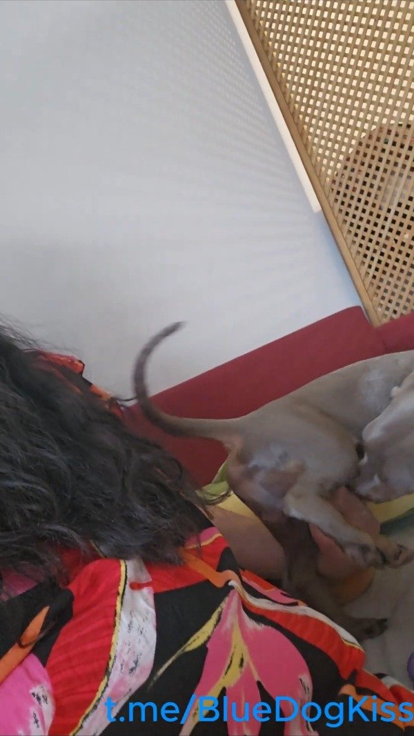 Producto - 002 Silver Beef Jerking (1.40 min)