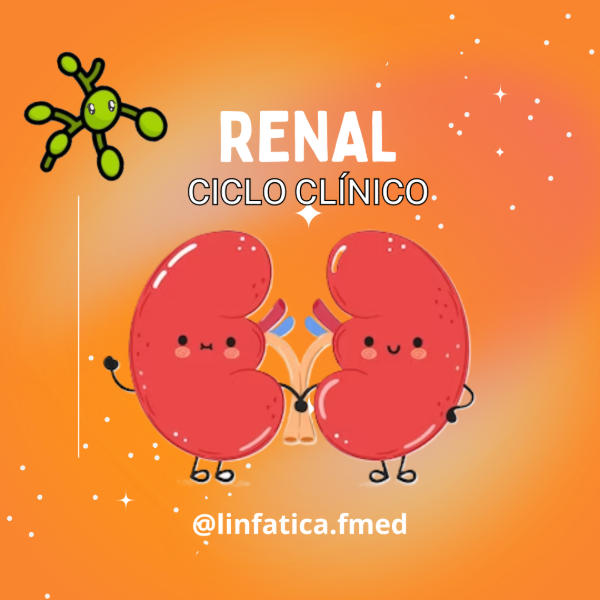 Producto - Manual para la UDH - TOMO Renal