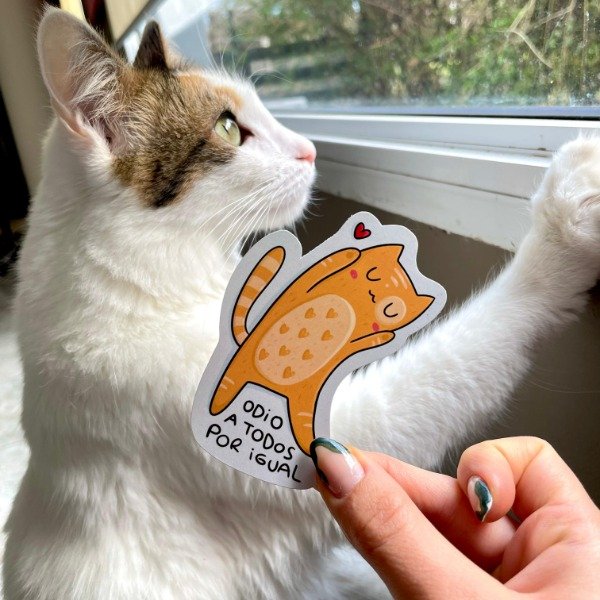 Producto - Sticker die cut OPP Odio a todos