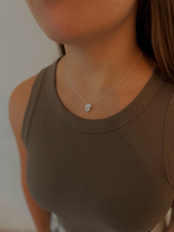 Producto - Collar perro con cubic corazón 40-45cm (elegir color)