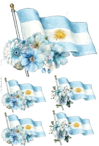 Producto - Transfers ARG 3
