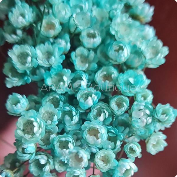 Producto - Diamantina verde pastel