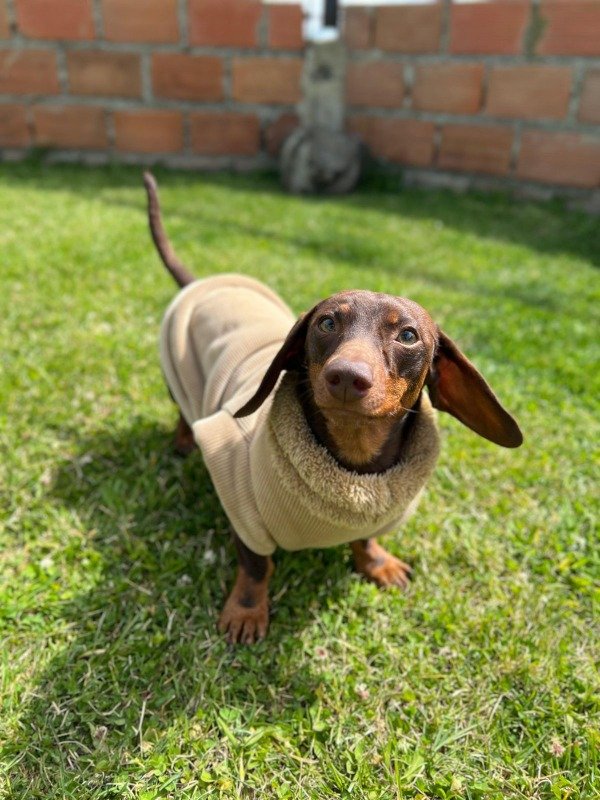 Producto - Buzo cordero y corderito por dentro