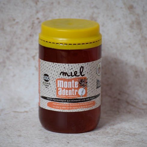 Producto - Miel Multifloral PET - 1/2kg Monte Adentro