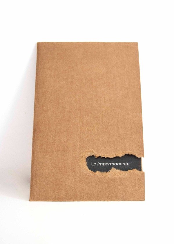 Producto - Nicolle Senseve - Lo impermanente
