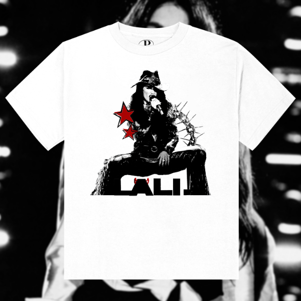 Producto - Remera fanatico velez blanca