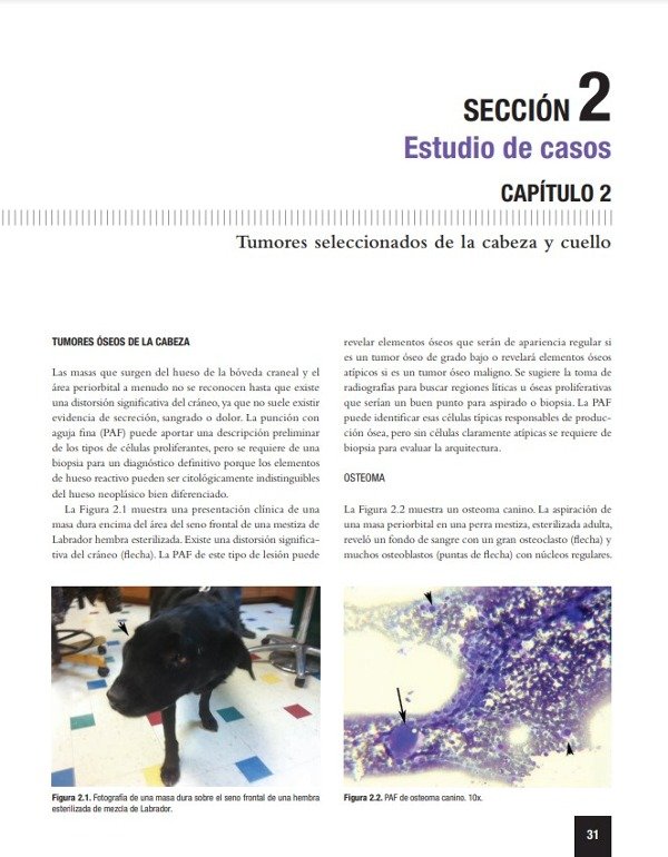 Producto - Kiehl: Atlas para el Diagnóstico de Tumores en el Perro y el Gato - 2