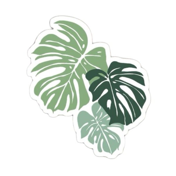 Producto - Sticker Monstera vinilo