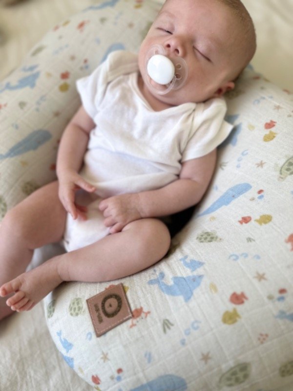 Producto - Dona de lactancia