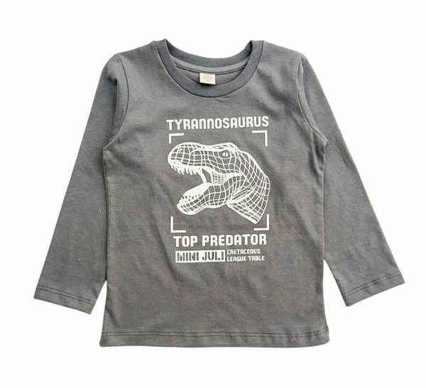 Producto - Remera tiranosaurio Storm