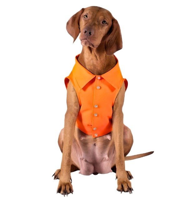 Miniatura de producto - 9