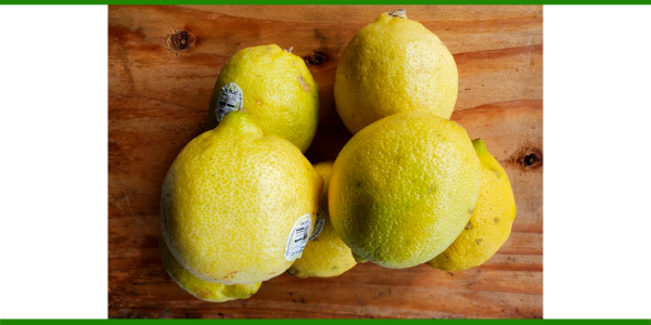 Producto - LIMONES ORGÁNICOS Caja 17 kg