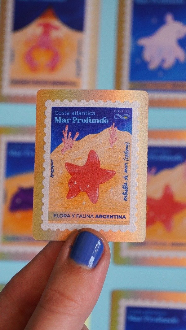 Producto - Estrellita culona