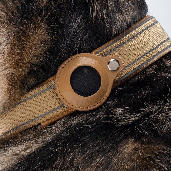 Producto - Collar Balto ARENA