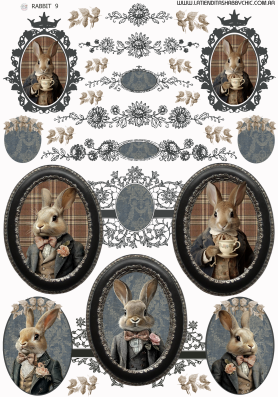 Producto - RABBIT 9 MIXED