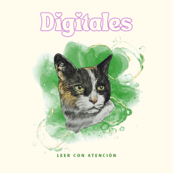 Producto - Retratos Digitales