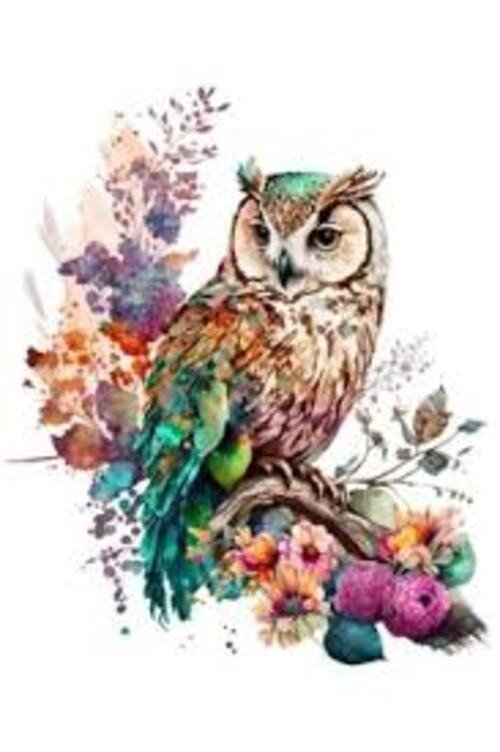 Producto - DIAMOND PAINTING 40X50 HI STONE BELLA LECHUZA