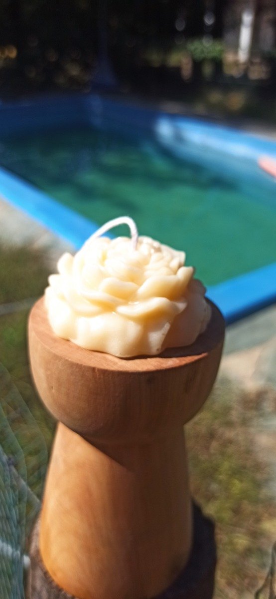 Producto - Peonia chica