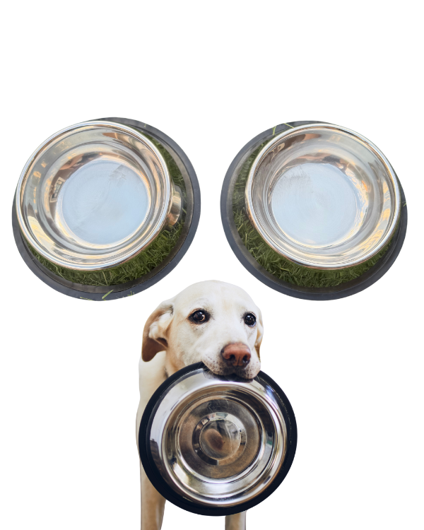 Producto - Comedero / Bebedero Acero