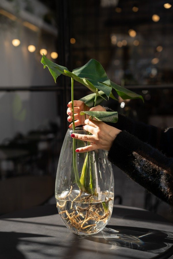 Producto - Florero Amorfo