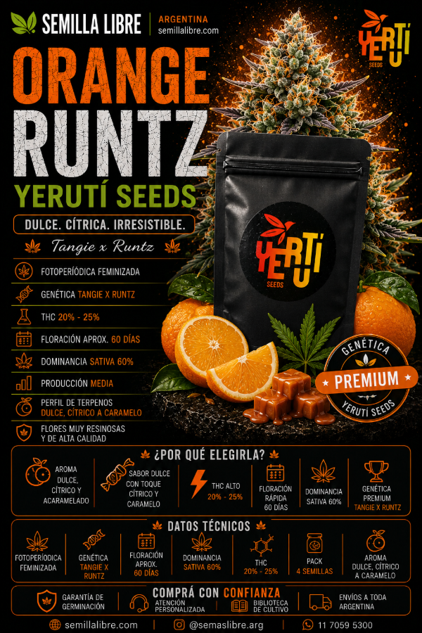 Producto - ORANGE RUNTZ - YERUTÍ. Pack 4 semillas - 1