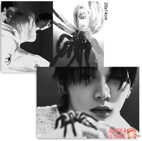 Producto - Set de postales Taesan - BoyNextDoor 'HOME Concept Photo : WEAVER ver.'