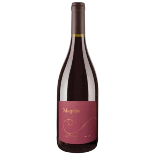 Producto - Mugrón Pila 2021