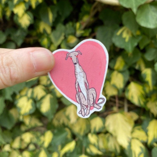 Producto - Vinilo Galgo