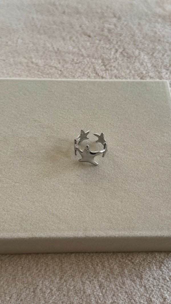 Producto - Anillo Venecia Silver - 1