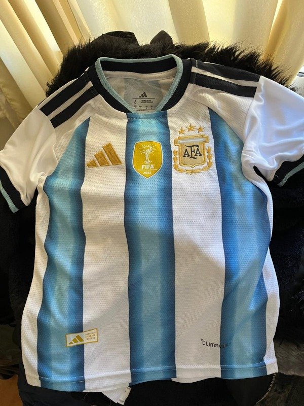 Producto - Camiseta Argentina BORDADA Adultos Personalizada - 2