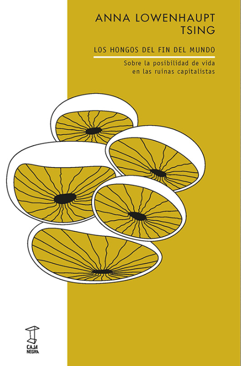 Producto - Los hongos del fin del mundo - Anna Lowenhaupt Tsing - Caja Negra
