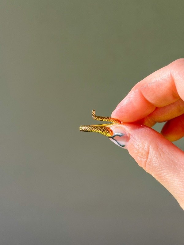 Producto - Anillo snake 2