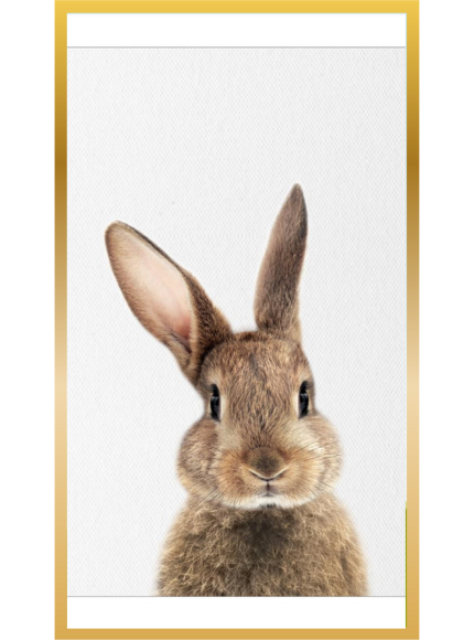 Producto - Cuadro Rabbit Friend